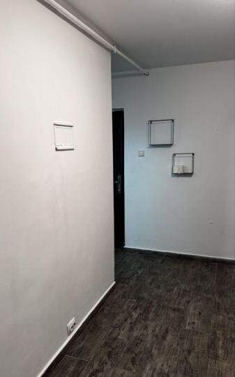 Berceni Luica